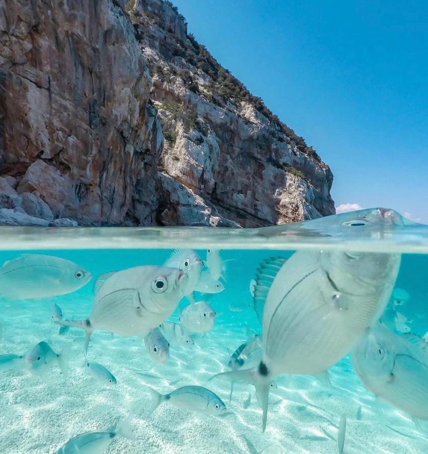 Cala Gonone, Casa I Pini公寓 外观 照片