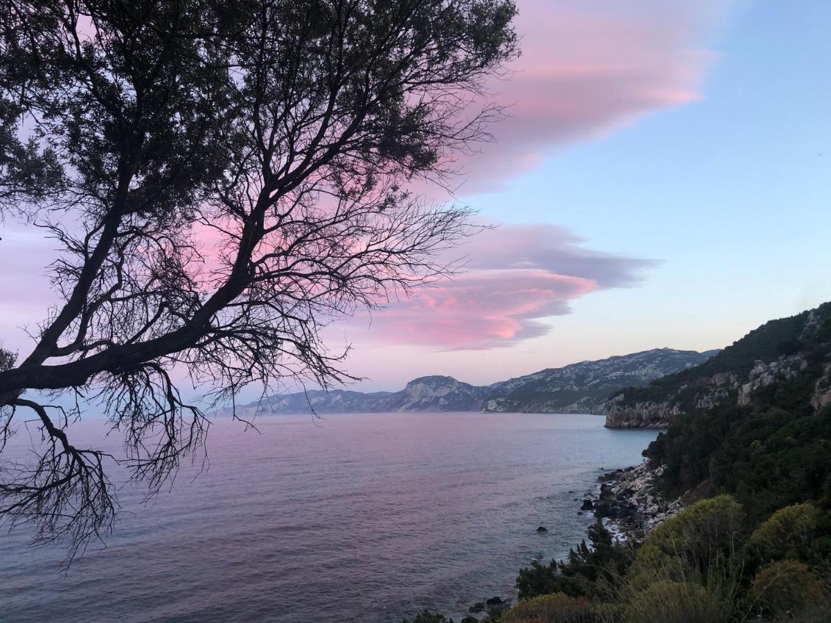 Cala Gonone, Casa I Pini公寓 外观 照片